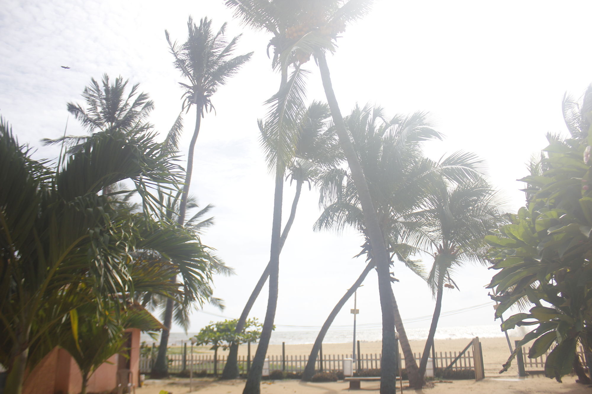Star Beach Guest House Negombo Ngoại thất bức ảnh